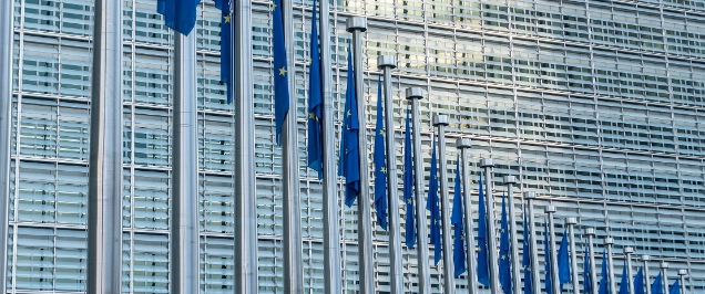 The EU and multilateralism 