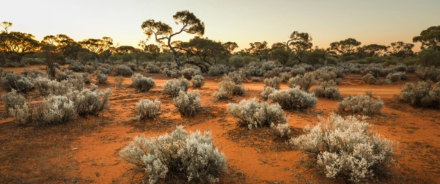 A Methodology for the Calculation of Native Title Compensation