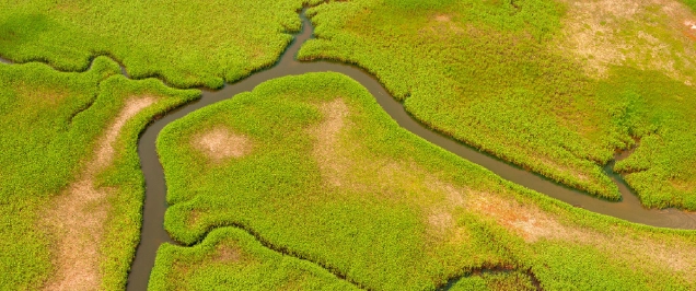 Risky business: building on a flood plain