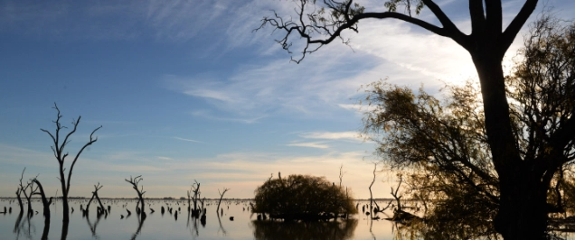 UNESCO World Heritage Listing of Aboriginal cultural landscape