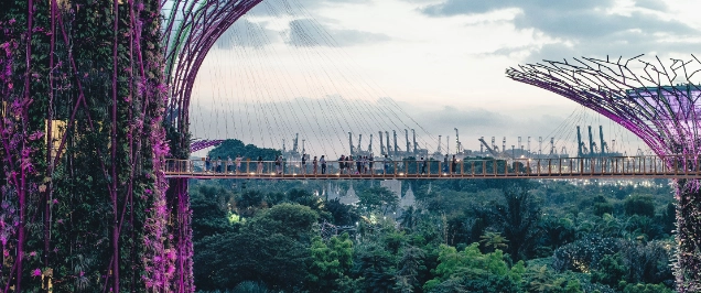 Singapore payments and fintech update