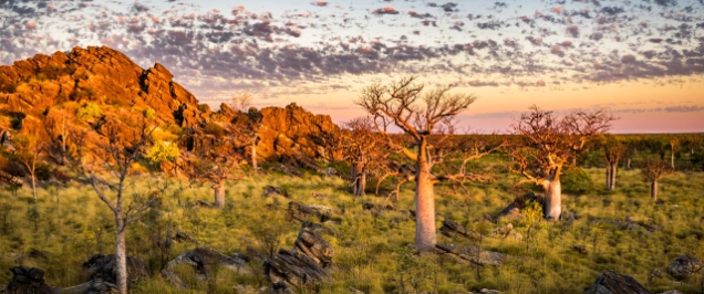 Guiding us through the transition back to the Aboriginal Heritage Act - Guidelines released